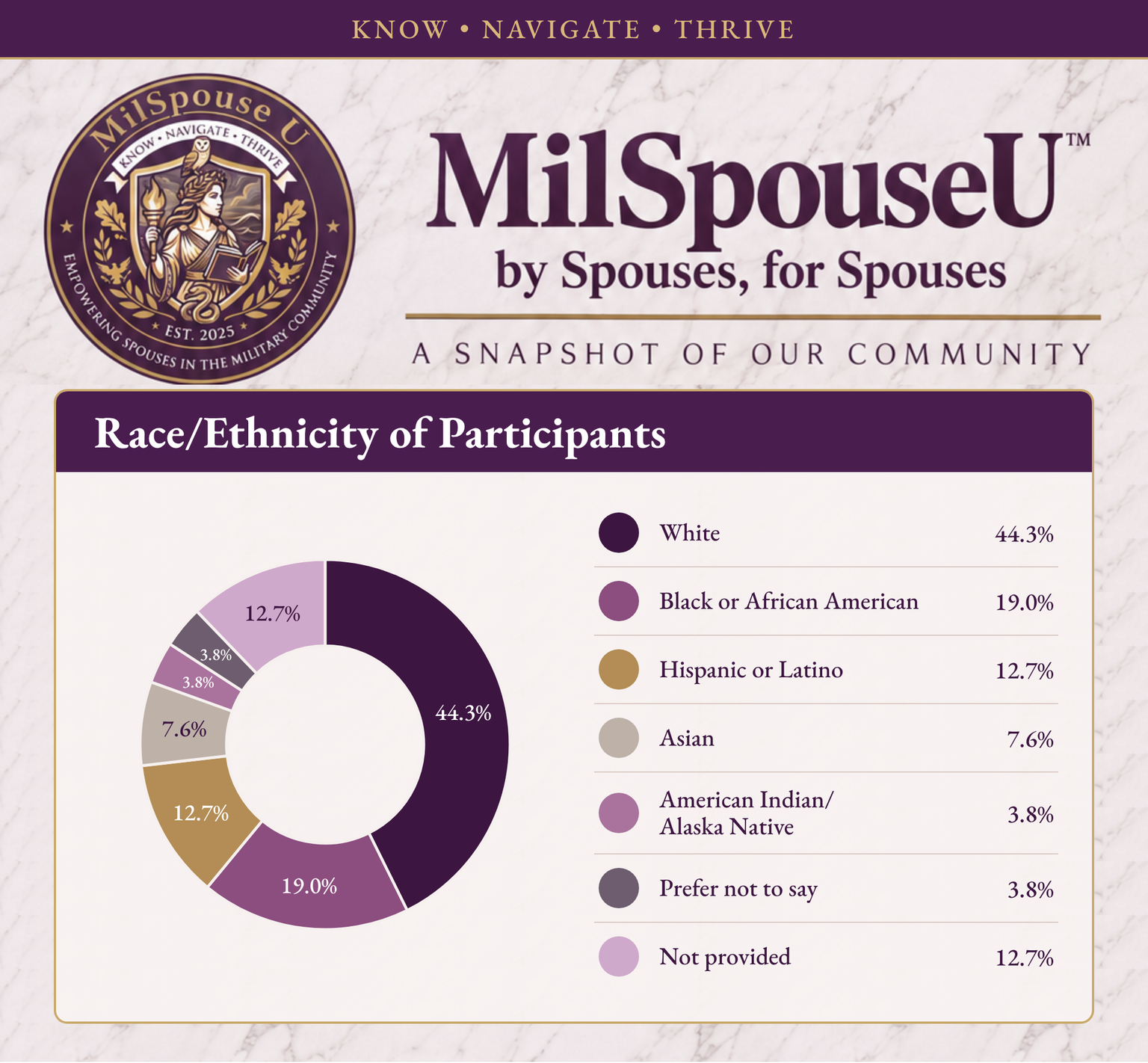 A ring of race and ethnicity. White 44.3%; Black or African American 19.0%; Hispanic or Latino 12.7%; Asian 7.6%; American Indian or Alaska Native 3.8%; prefer not to say 3.8%; not provided 12.7%.